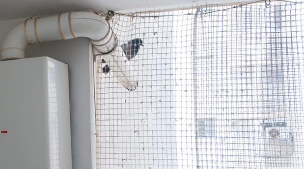 交叉網狀的防護網可完全阻隔鳥類飛進陽台